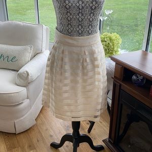 NWT size 8 skirt